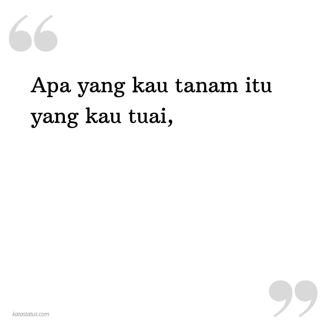 Kata Status Lucu Gokil Ngakak Apa yang kau tanam itu yang kau tuai