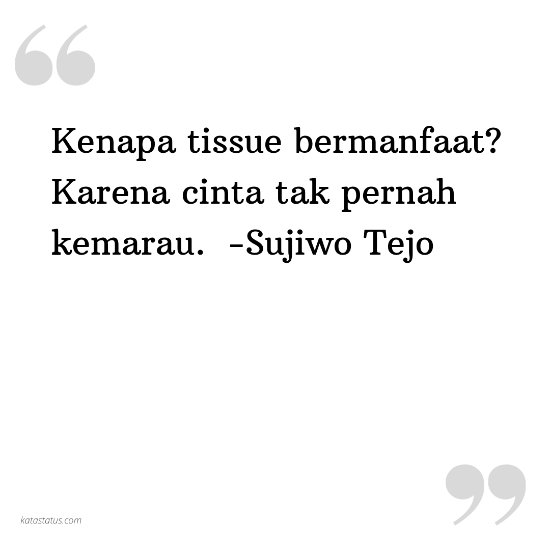 Kata Status Sindiran Kenapa Tissue Bermanfaat Karena Cinta Tak Pernah Kemarau Sujiwo Tejo KataStatusCOM