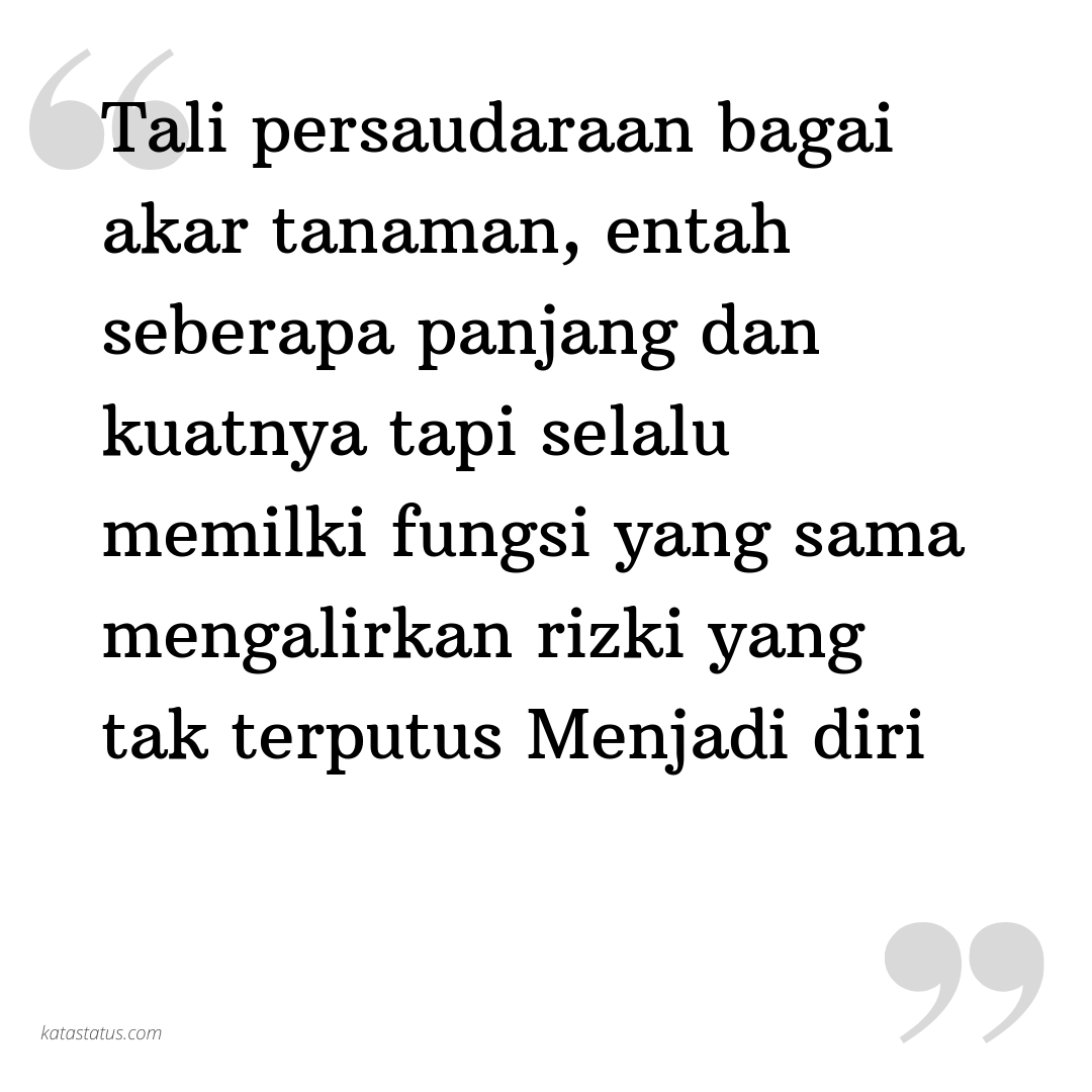 Kata Status Kata Bijak Islami Tali Persaudaraan Bagai Akar Tanaman Kata Status Kata Bijak Islami Tali Persaudaraan Bagai Akar Tanaman